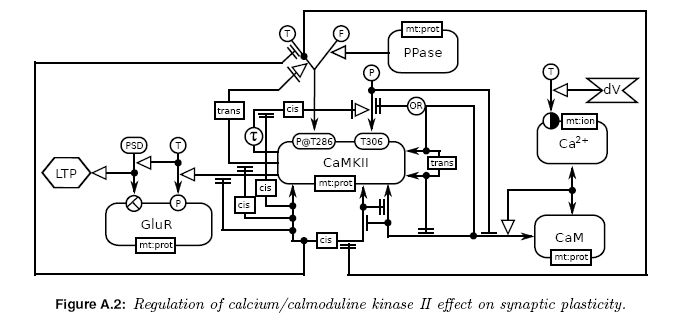 Network Theory