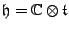 ${\mathfrak h}= {\mathbb{C}}\otimes \t $