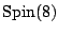 ${\rm Spin}(8)$