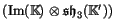 $(\Im (\K) \tensor \sh _3(\K'))$