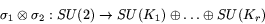 \begin{displaymath}
\sigma_1\otimes\sigma_2: SU(2) \rightarrow SU(K_1)\oplus\ldots\oplus
SU(K_r)
\end{displaymath}