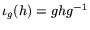 $\iota_g(h)=ghg^{-1}$