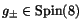 $g_\pm \in \Spin (8)$